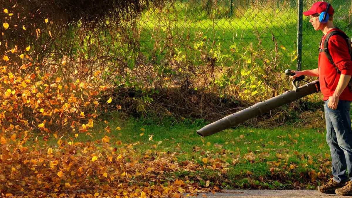 Lawn gear you need for fall cleanup